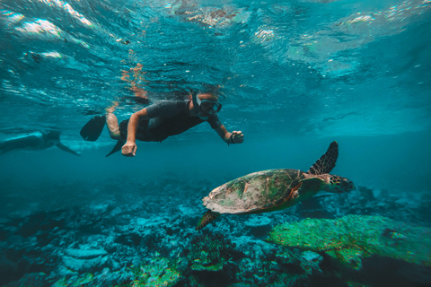 Musandam Tour From Dubai